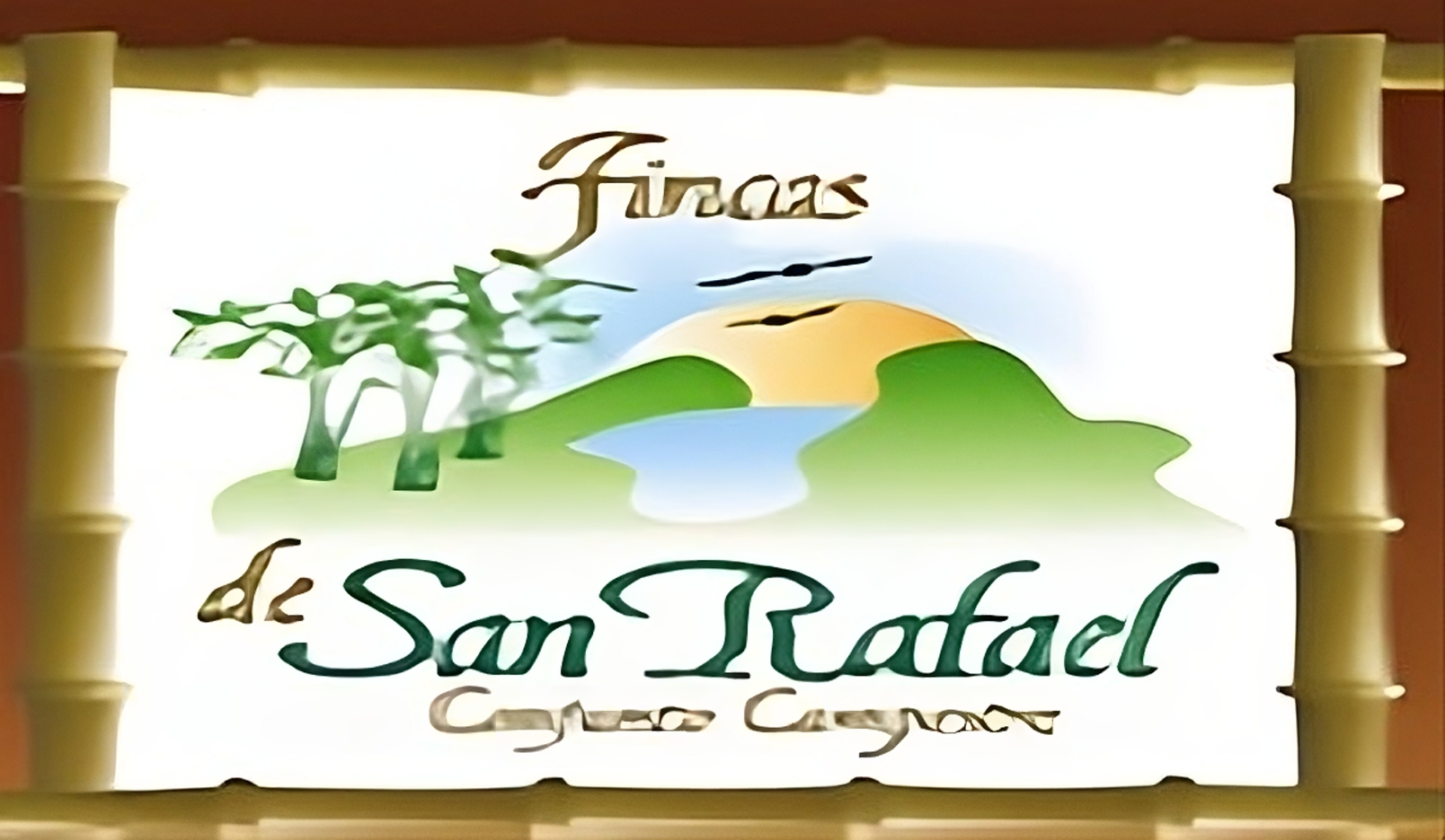 Logo Fincas San Rafael